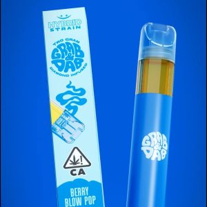 Grab and Dab Berry Blow Disposable Vape 2G THCA – Fruity Sweet Rechargeable Pen with Worldwide Shipping